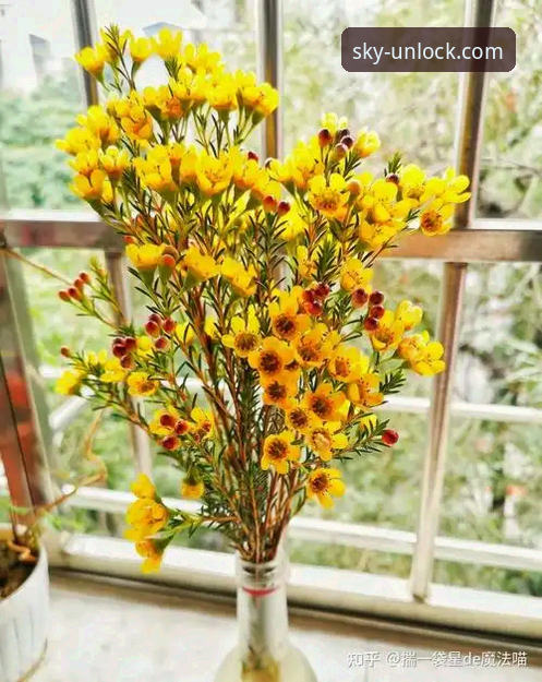 云开官网注册入口 资深用户赵晓蕾的云开体育平台使用心得:如何快速找到官方注册入口